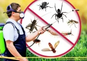 Böcek ve Haşere İlaçlama
