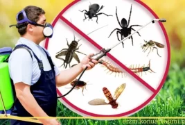 Böcek ve Haşere İlaçlama